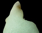 Smithsonite Mineral